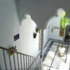https://apartamento-veedor-bulevar-de-los-sueos.hotelsincadiz.net